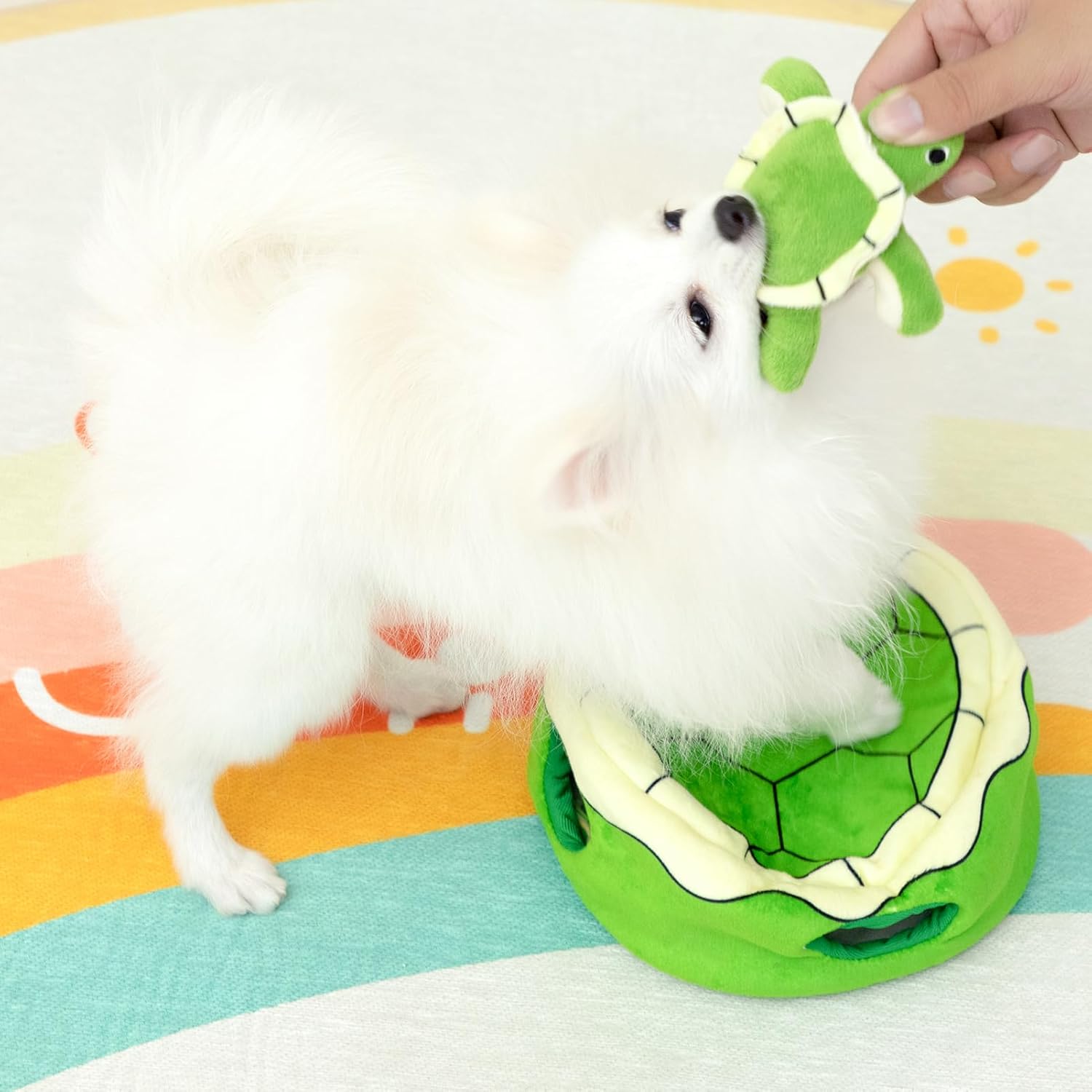 Squeaky Dog Toy, Interactive Plush Hide and Seek Dog Toys for Small Medium Sized Dogs and Non-Aggressive Chewers, Puppy Teeth Clean Chew Toys, Turtles