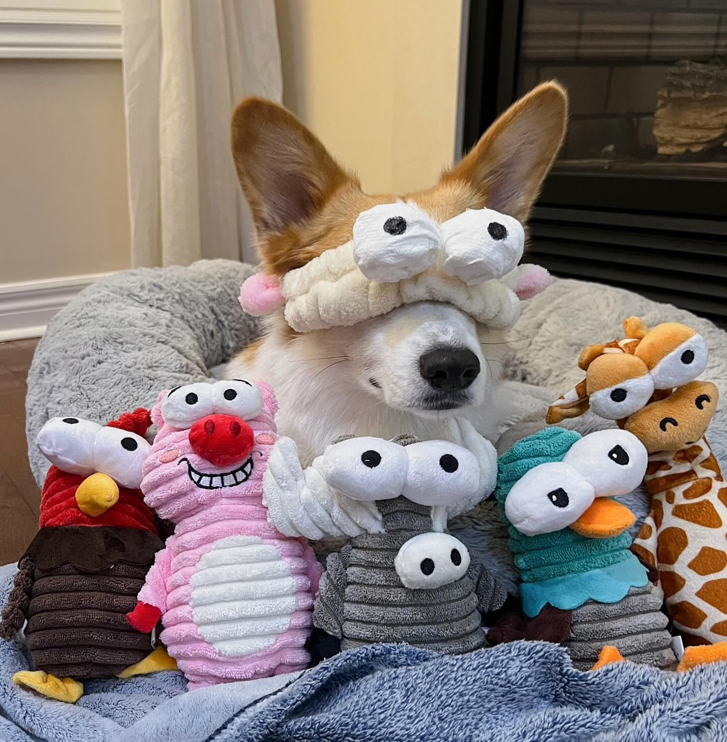 5-Pack Squeaky Dog Toys, Durable Stuffed Critter Zoo Dog Toys with Unique Squeak Sounds to Keep Dogs Busy, Puppy Toys for Small, Medium, and Large Dogs